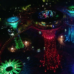 在滨海湾花园 (Gardens By The Bay) 五彩缤纷的擎天树丛 (Supertree Grove) 鸟瞰夜景。